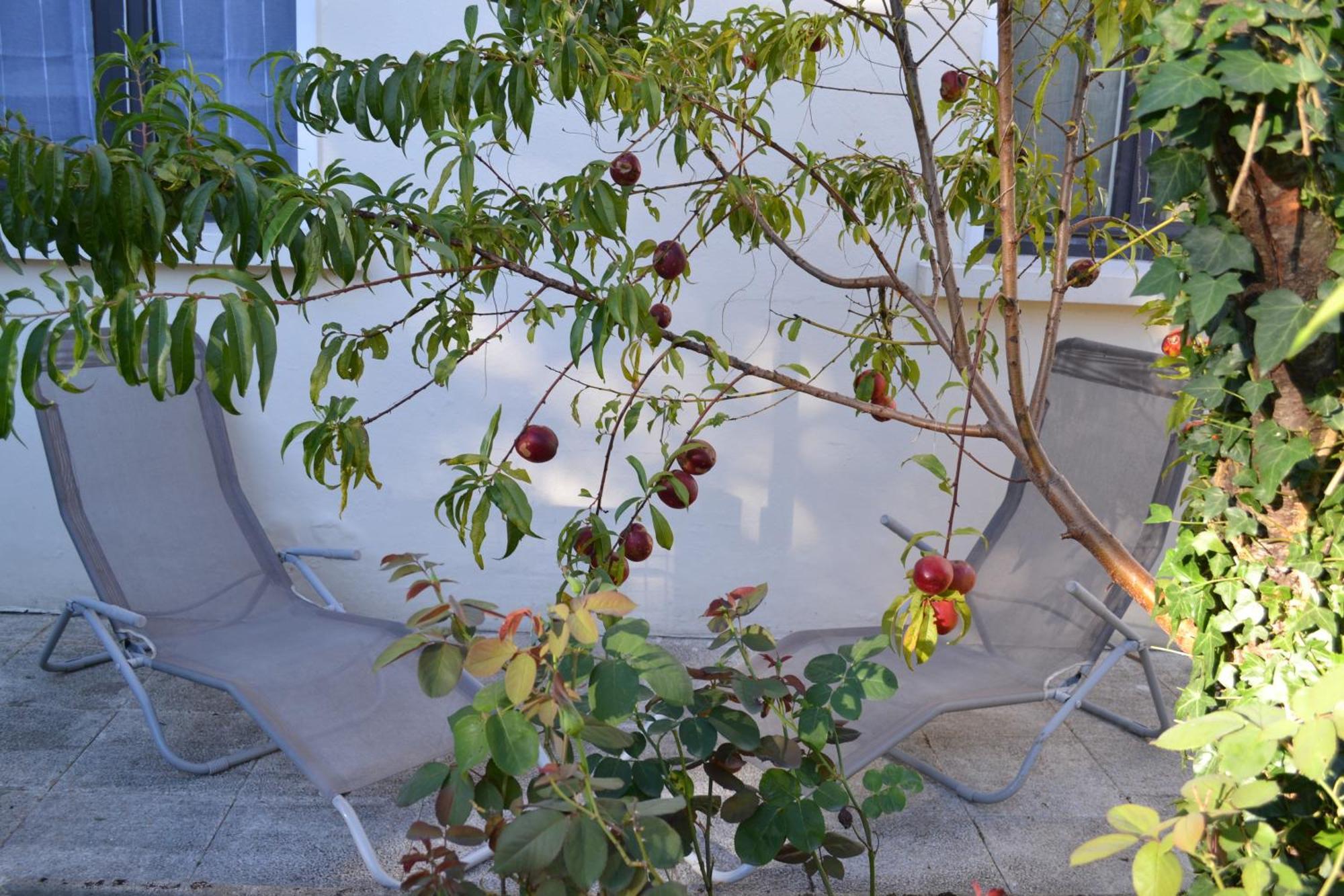 Holiday home Maison Independante Avec Jardin Et Parking *